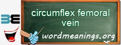 WordMeaning blackboard for circumflex femoral vein